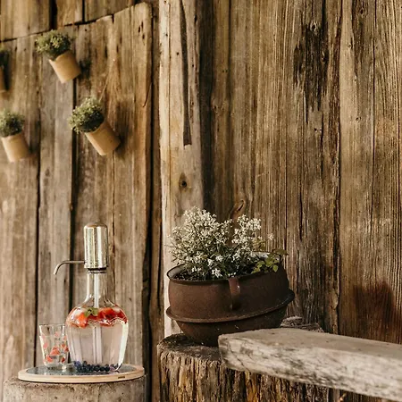Tatil Evi Discovery Mazury *